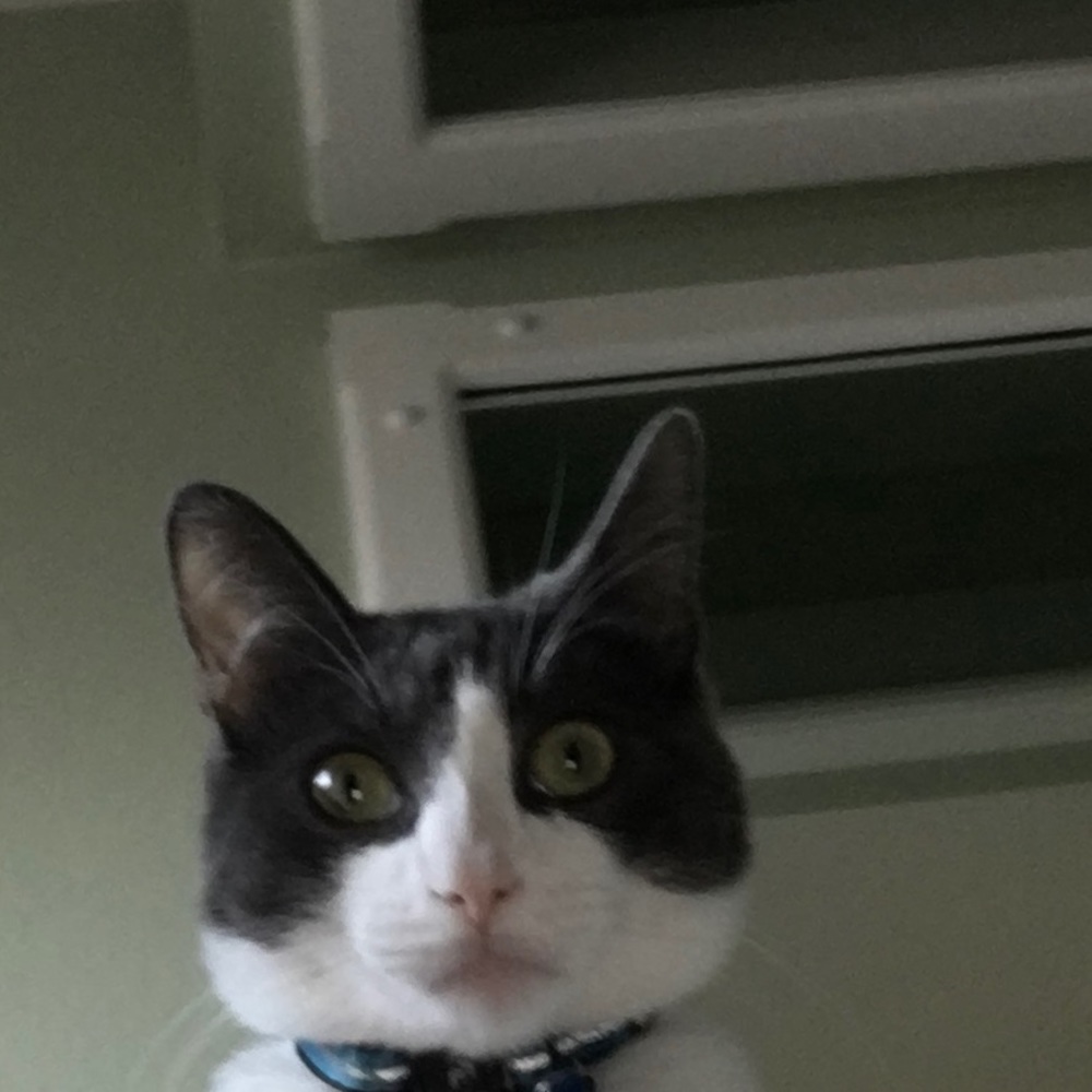 Meet your Posher, Jacob